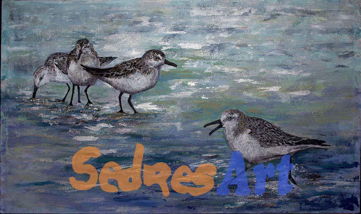 seaside birds painting seaside birds painting