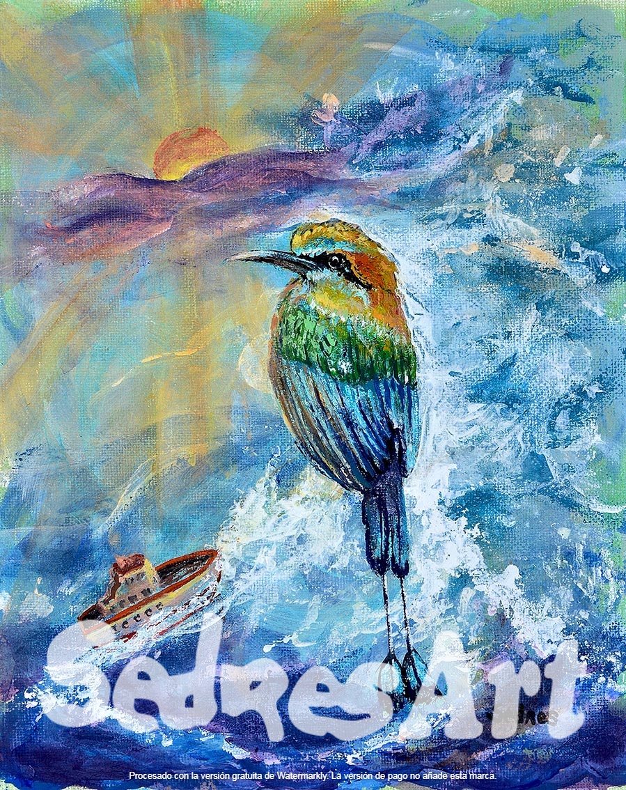 bird toh and boat bird toh and boat